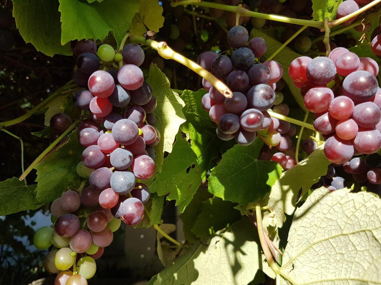 Victorskloof 3*